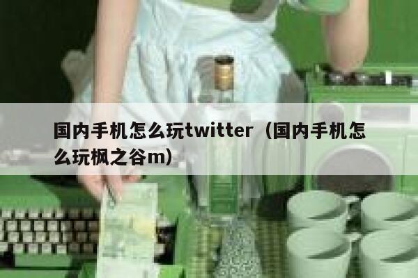 国内手机怎么玩twitter（国内手机怎么玩枫之谷m） 第1张