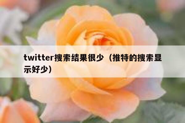 twitter搜索结果很少（推特的搜索显示好少） 第1张