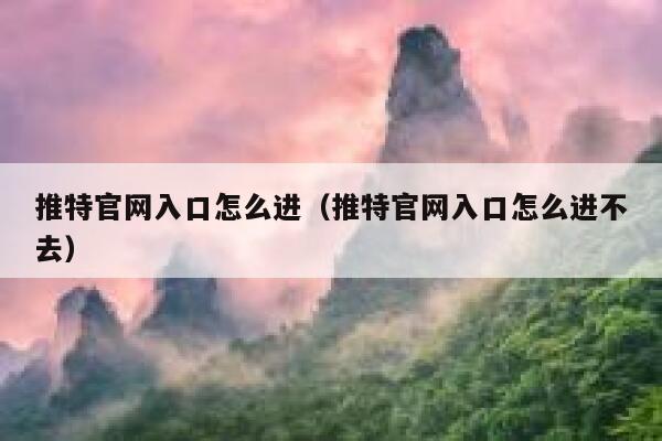 推特官网入口怎么进（推特官网入口怎么进不去） 第1张