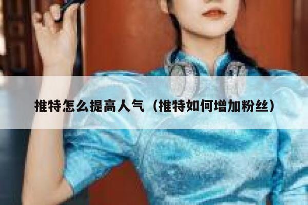 推特怎么提高人气（推特如何增加粉丝） 第1张