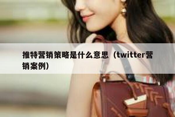 推特营销策略是什么意思(twitter营销案例) 第1张 推特营销策略是什么意思(twitter营销案例) 第1张