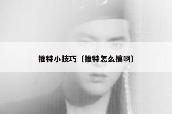 推特小技巧（推特怎么搞啊） 第1张