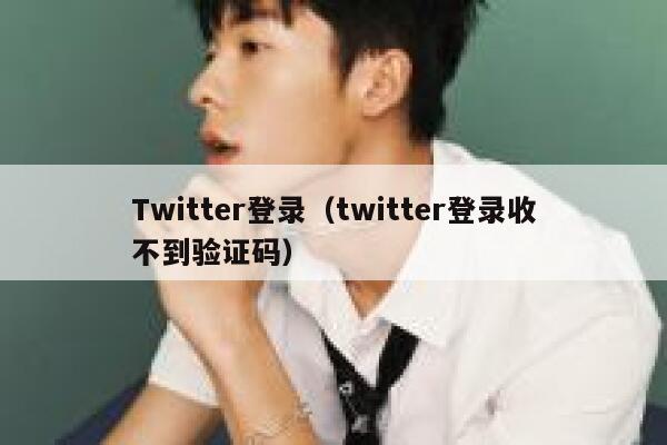 Twitter登录（twitter登录收不到验证码） 第1张