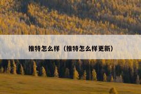 推特怎么样（推特怎么样更新） 第1张