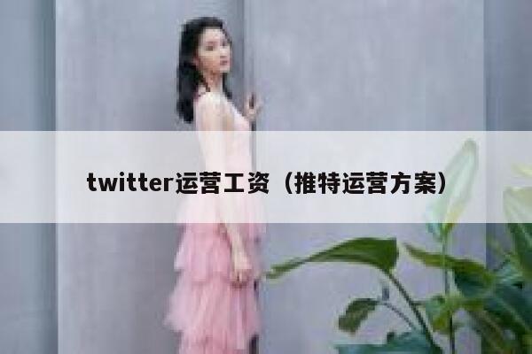 twitter运营工资（推特运营方案） 第1张