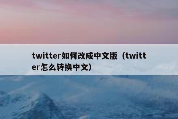 twitter如何改成中文版（twitter怎么转换中文） 第1张