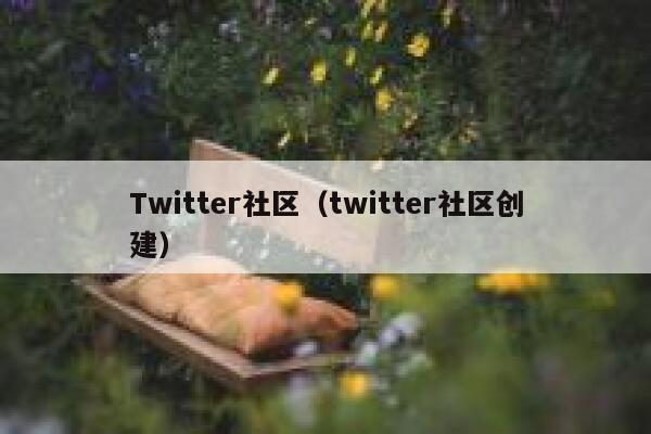 Twitter社区（twitter社区创建） 第1张