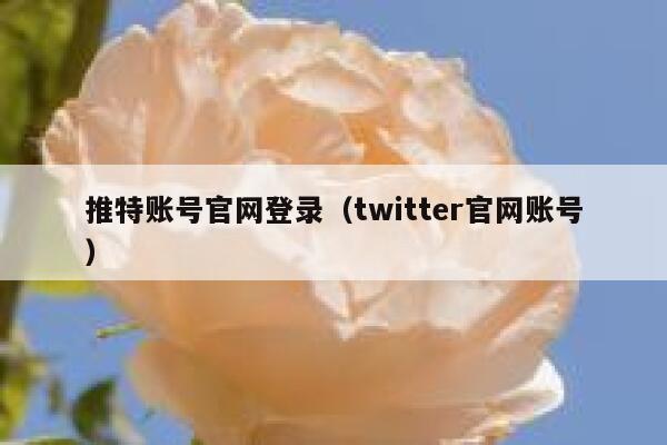 推特账号官网登录（twitter官网账号） 第1张