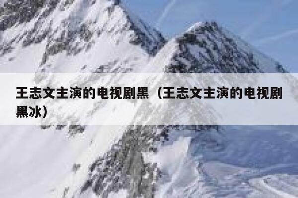 王志文主演的电视剧黑（王志文主演的电视剧黑冰） 第1张