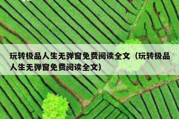 玩转极品人生无弹窗免费阅读全文（玩转极品人生无弹窗免费阅读全文） 第1张