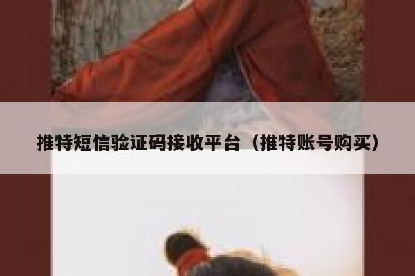 推特短信验证码接收平台（推特账号购买） 第1张
