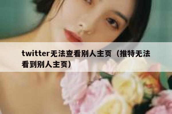 twitter无法查看别人主页（推特无法看到别人主页） 第1张