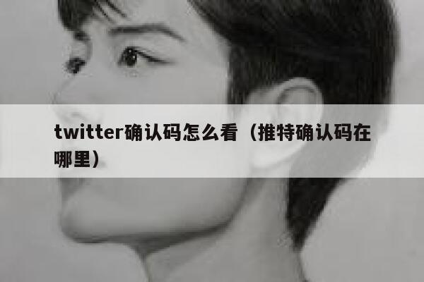 twitter确认码怎么看（推特确认码在哪里） 第1张