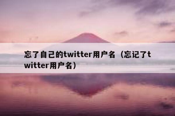 忘了自己的twitter用户名（忘记了twitter用户名） 第1张