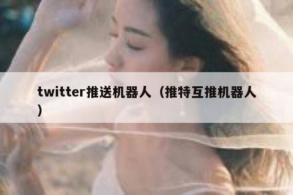 twitter推送机器人（推特互推机器人） 第1张