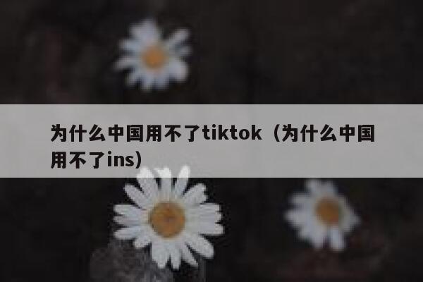 为什么中国用不了tiktok（为什么中国用不了ins） 第1张