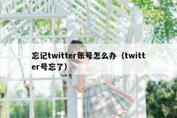 忘记twitter账号怎么办（twitter号忘了） 第1张