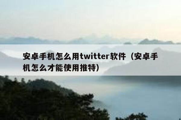 安卓手机怎么用twitter软件（安卓手机怎么才能使用推特） 第1张