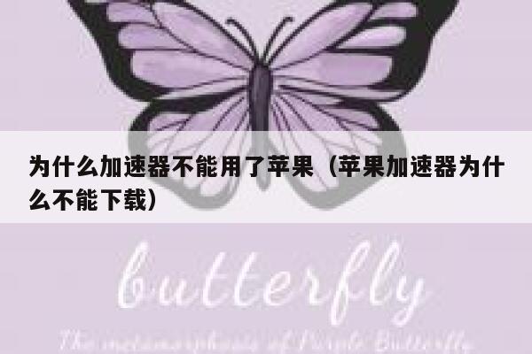 为什么加速器不能用了苹果（苹果加速器为什么不能下载） 第1张