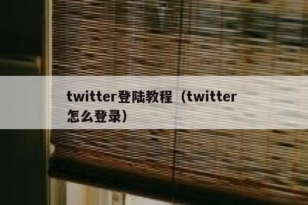 twitter登陆教程（twitter 怎么登录） 第1张
