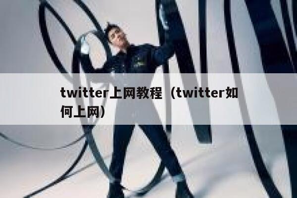 twitter上网教程（twitter如何上网） 第1张