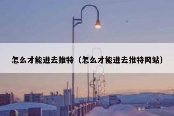 怎么才能进去推特（怎么才能进去推特网站） 第1张