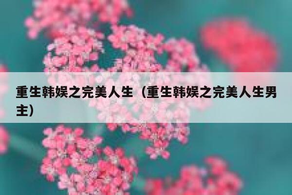 重生韩娱之完美人生（重生韩娱之完美人生男主） 第1张