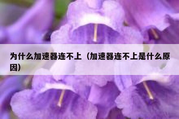为什么加速器连不上（加速器连不上是什么原因） 第1张