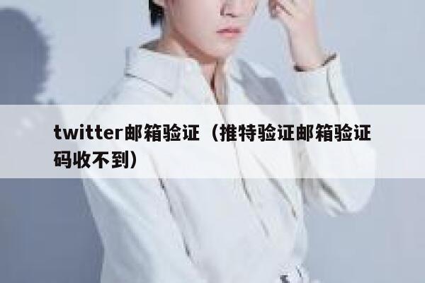 twitter邮箱验证（推特验证邮箱验证码收不到） 第1张