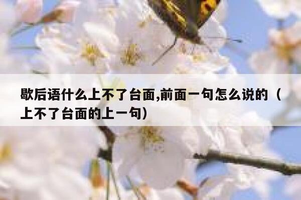 歇后语什么上不了台面,前面一句怎么说的（上不了台面的上一句） 第1张