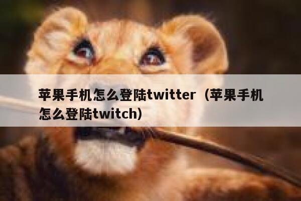 苹果手机怎么登陆twitter（苹果手机怎么登陆twitch） 第1张