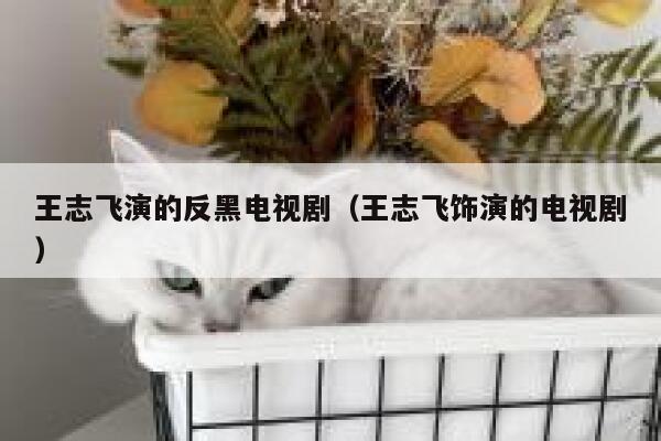 王志飞演的反黑电视剧（王志飞饰演的电视剧） 第1张