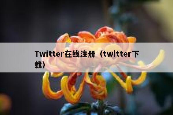 Twitter在线注册（twitter下载） 第1张