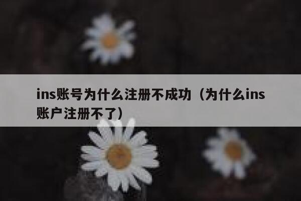 ins账号为什么注册不成功（为什么ins账户注册不了） 第1张