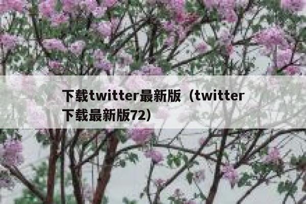 下载twitter最新版（twitter下载最新版72） 第1张
