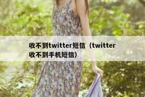 收不到twitter短信（twitter收不到手机短信） 第1张