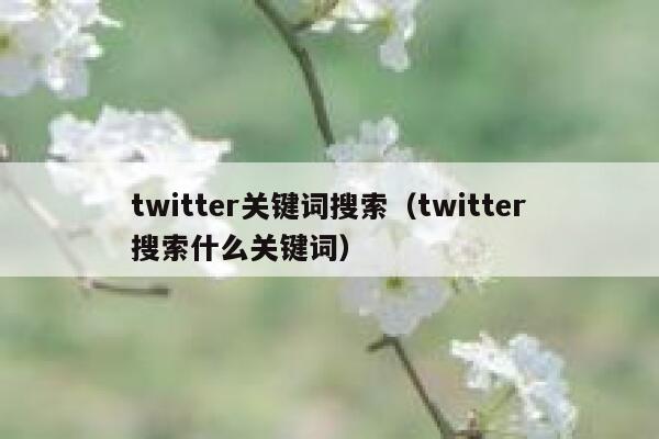 twitter关键词搜索（twitter搜索什么关键词） 第1张