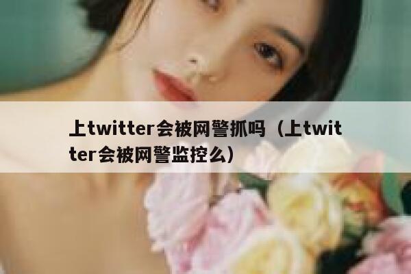 上twitter会被网警抓吗（上twitter会被网警监控么） 第1张