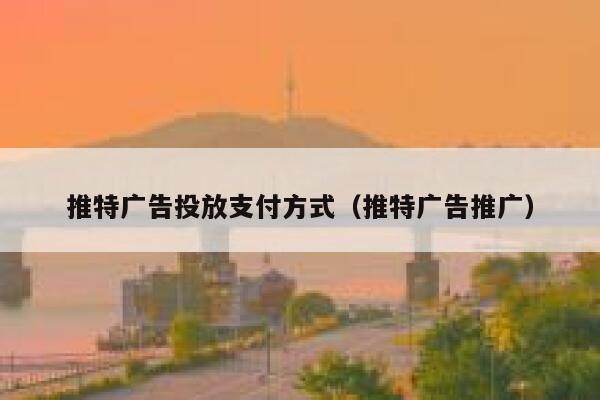 推特广告投放支付方式（推特广告推广） 第1张