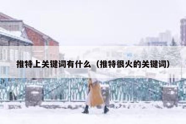 推特上关键词有什么（推特很火的关键词） 第1张