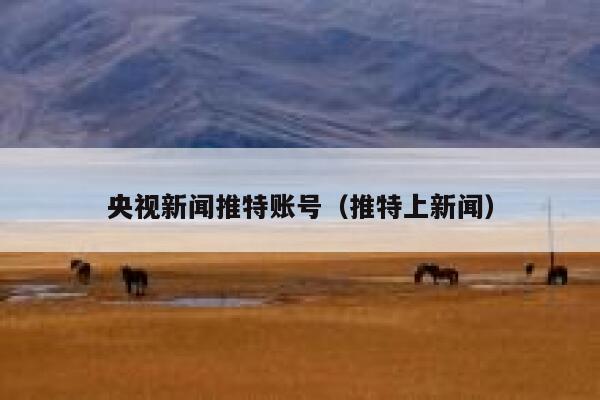 央视新闻推特账号（推特上新闻） 第1张