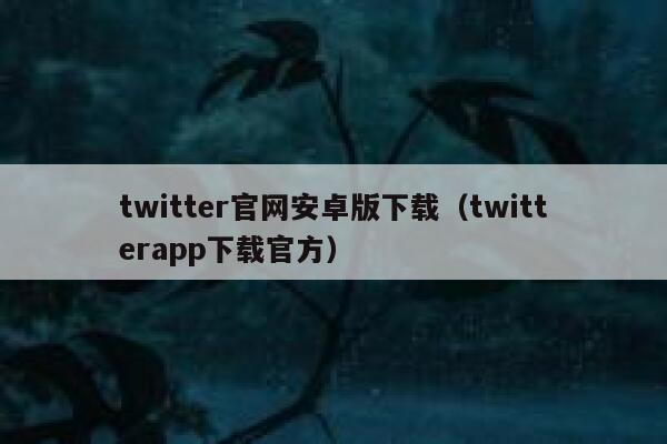 twitter官网安卓版下载（twitterapp下载官方） 第1张