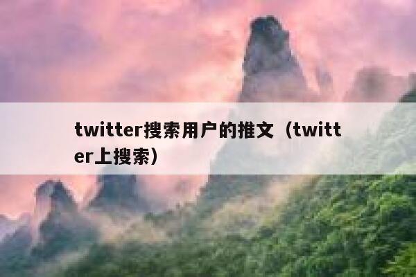 twitter搜索用户的推文（twitter上搜索） 第1张