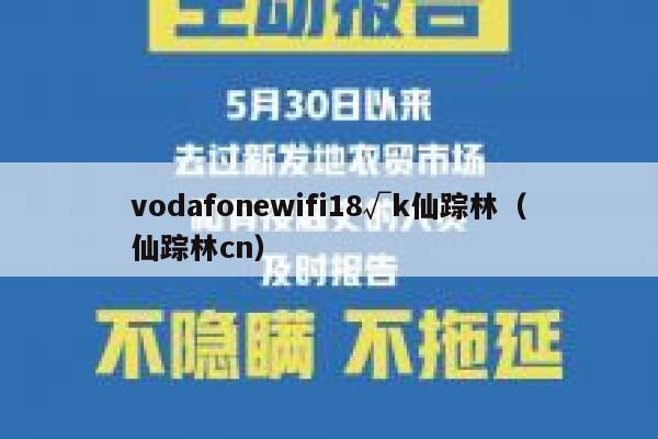 vodafonewifi18√k仙踪林（仙踪林cn） 第1张