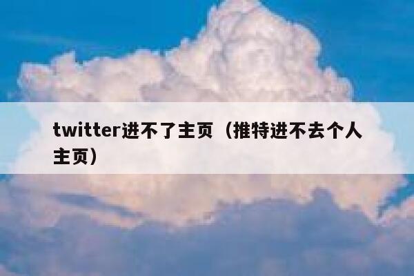 twitter进不了主页（推特进不去个人主页） 第1张