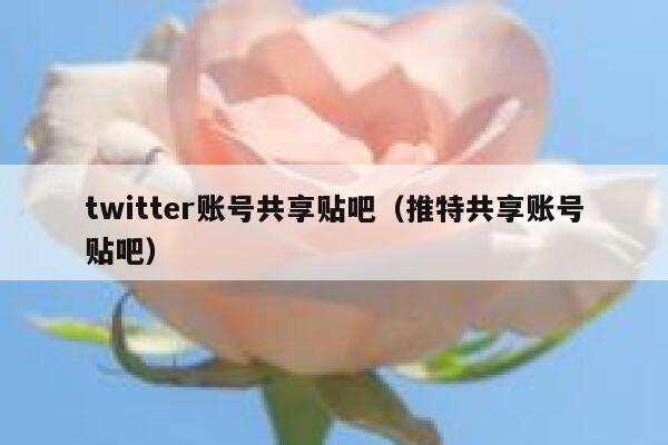 twitter账号共享贴吧（推特共享账号贴吧） 第1张