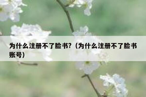 为什么注册不了脸书?（为什么注册不了脸书账号） 第1张