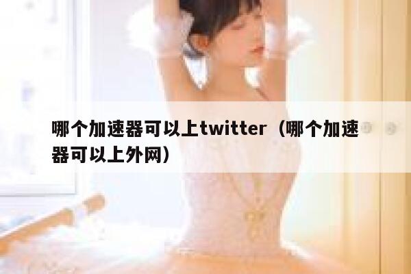 哪个加速器可以上twitter（哪个加速器可以上外网） 第1张