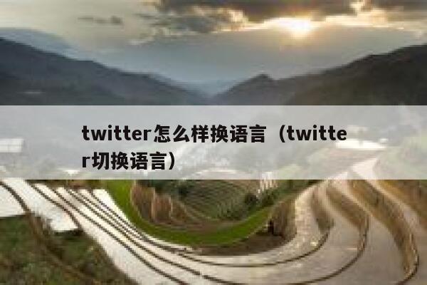 twitter怎么样换语言（twitter切换语言） 第1张