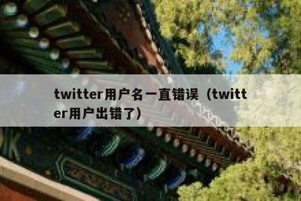 twitter用户名一直错误（twitter用户出错了） 第1张